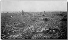 Field of French and German dead in Champagne