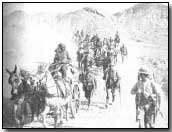 British transport mules in Mesopotamia