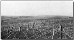 The starting point of the German attack, north of Haumont Wood, 21 Feb 1916