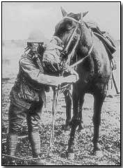Gas masks for man and horse demonstrated by American soldier, circa 1917-18