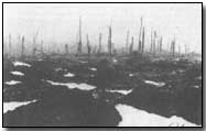 Ypres in 1917 (click to enlarge)